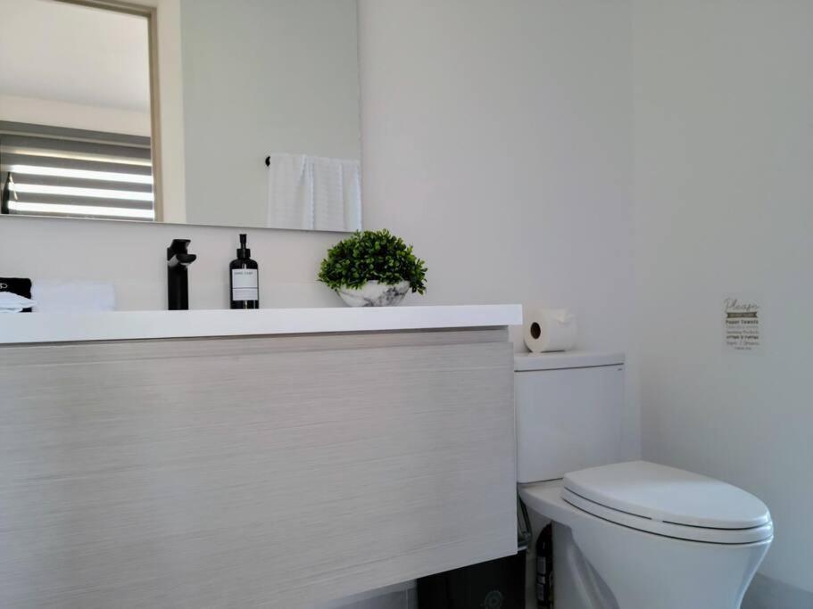 Endless Summer - 2Bed 2Bath Condo - Seasonly Heated Pool With Ocean Views - 5Min Walk To Beach - Fibre Internet - Sleeps 6 Cabo San Lucas Dış mekan fotoğraf
